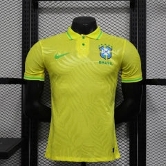 Brazil 2026 Player version