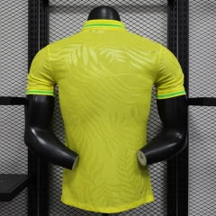 Brazil 2026 Player version